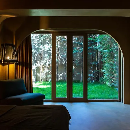 Life Gallery & Korce