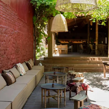 فندق Life Gallery & كورتشي