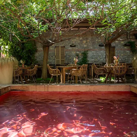 Hotel Life Gallery &