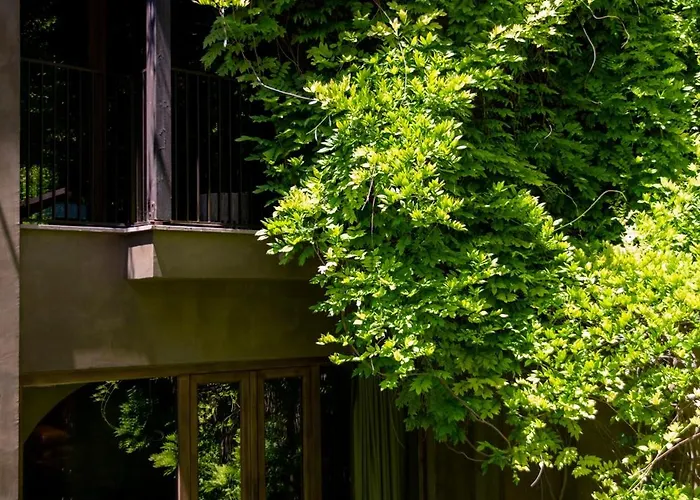 Ξενοδοχείο Life Gallery & Κορυτσά