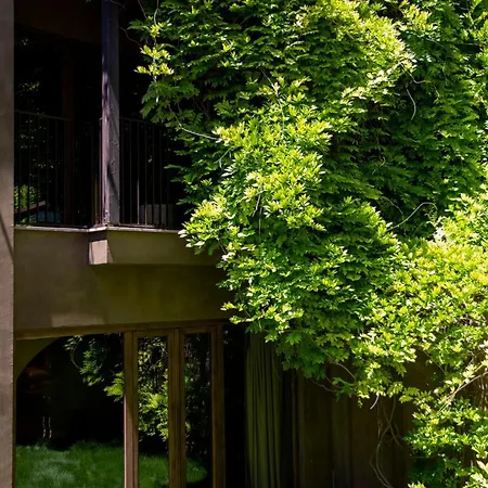 Hotel Life Gallery & Korce